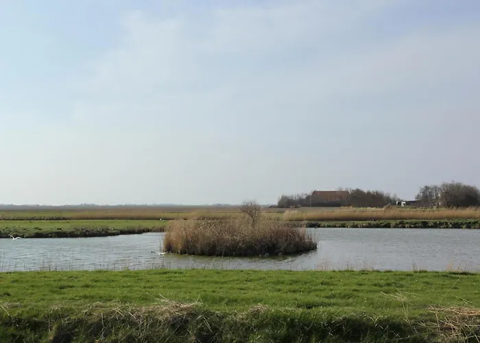 Lovely On The Edge Of The Forest Ferienhaus *